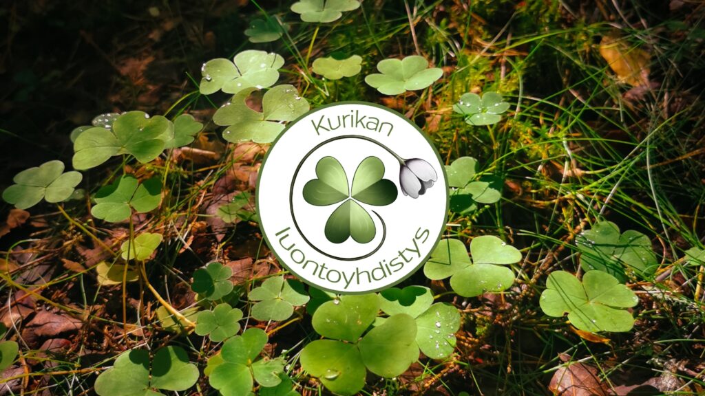 Kurikan luontoyhdistyksen logo ketunleipien edessä