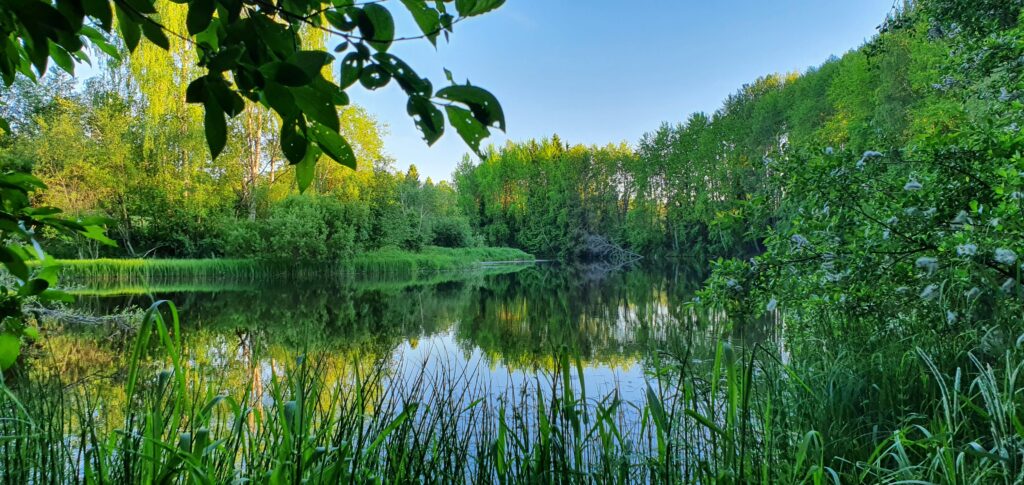 Kauhajoki virtaa vehreiden piennarten keskellä