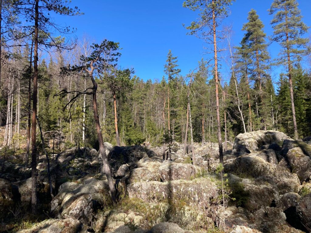 Hämeenkyrö Seinävuori