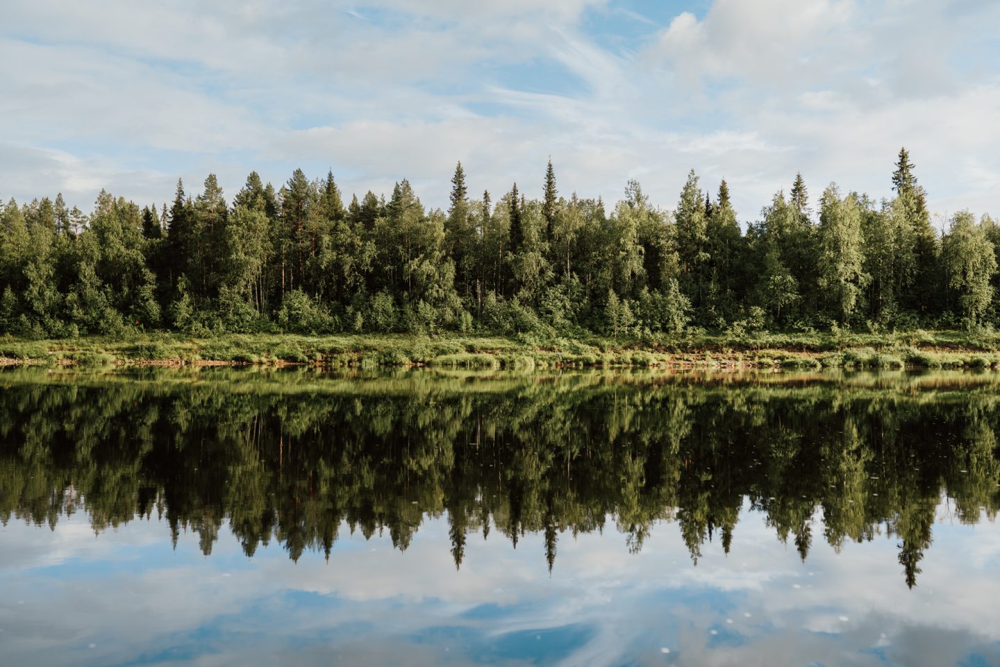 Rantametsä - Kuva Krista Ylinen Photography .jpg