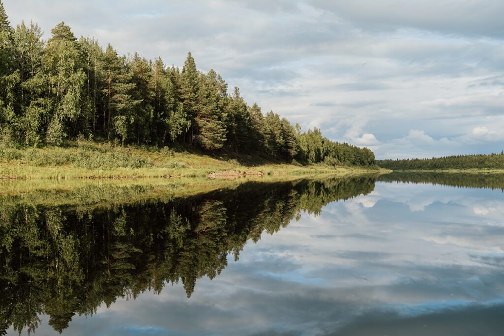 Vettä ja rantametsää.