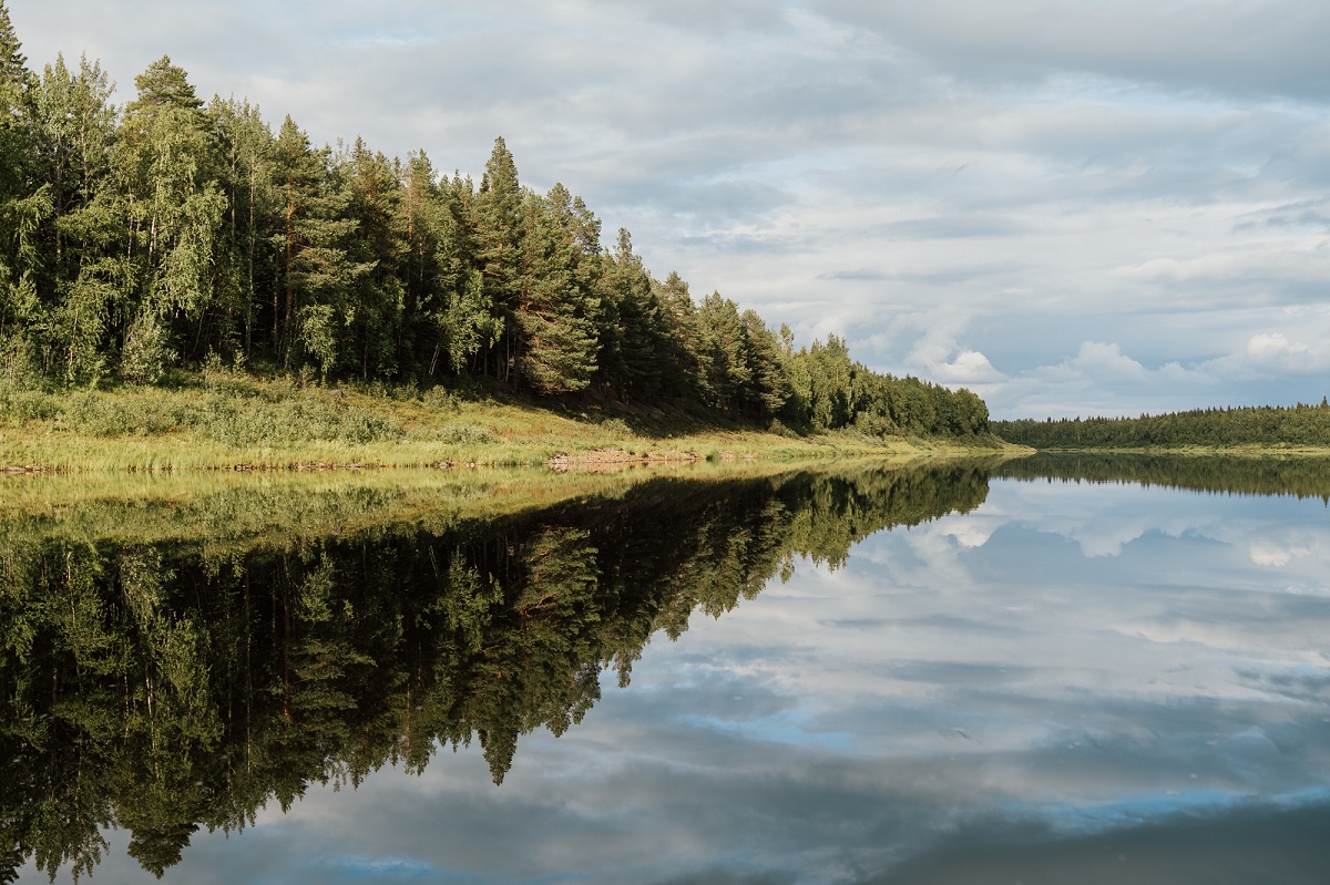 Vettä ja rantametsää.