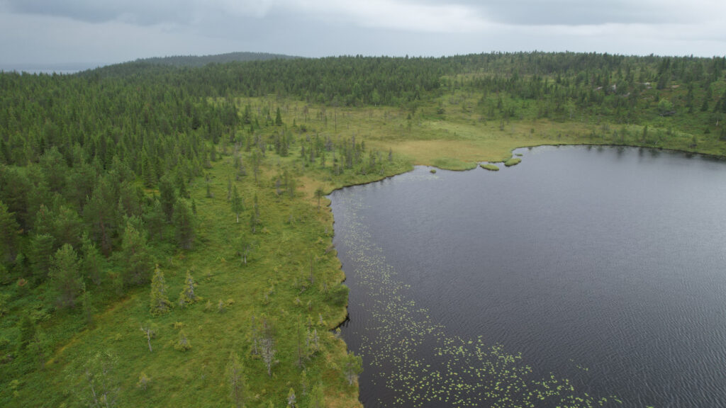 Tunturilampi Ailangantunturissa Kemijärvellä.