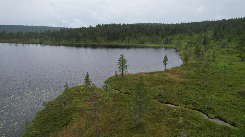 Tunturilampi Ailangantunturin päällä Kemijärvellä.