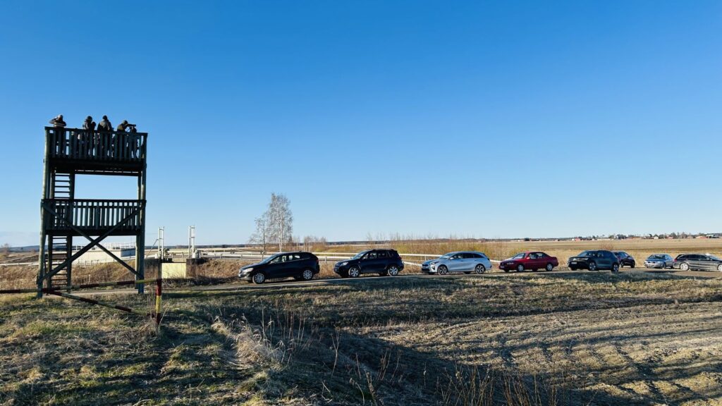 Lintutornissa on useita henkilöitä ja tornin juurella on pysäköitynä jonossa useita autoja. Kevään karuus näkyy vielä luonnossa talven jäljiltä. Taustalla pilvetön sininen taivas.