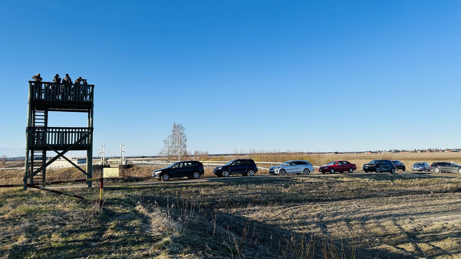 Lintutornissa on useita henkilöitä ja tornin juurella on pysäköitynä jonossa useita autoja. Kevään karuus näkyy vielä luonnossa talven jäljiltä. Taustalla pilvetön sininen taivas.