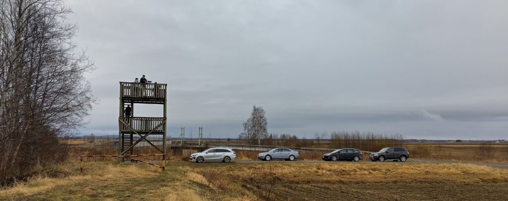 Sateisen harmaassa säässä muutama henkilö lintutornissa. Maisemakuva.
