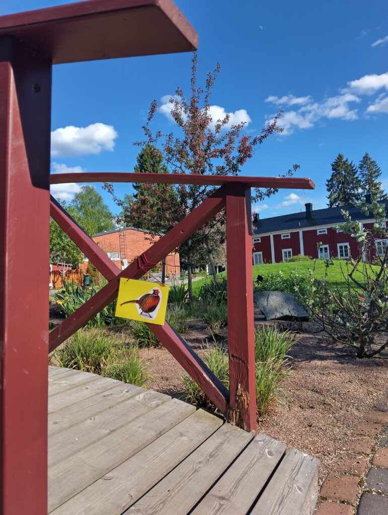Pienen kävelysillan alkupää. Sillan kaiteessa on kiinni kuvakortti, jossa on fasaanin kuva. Taustalla hiekkamaalle istutettuja erilaisia heiniä, punaisin kukin kukkiva koristeomenapuu sekä jokin vähälehtinen matala pensas. Näiden taustalla ruohokumpu ja takana punatiilinen matala rakennus sekä vanha punainen pohjalaistalo. Ylhäällä sinitaivas muutamalla valkoisella pilvenhattaralla.