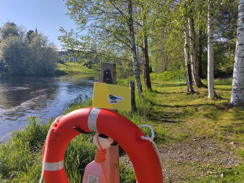 Joenrannassa puutolpassa pelastusrengas ja sen päällä keltainen kuvakortti, jossa talitiaisen kuva. Joenrannassa koivuja, joihin on juuri puhjenneet vaalean vihreät lehdet.