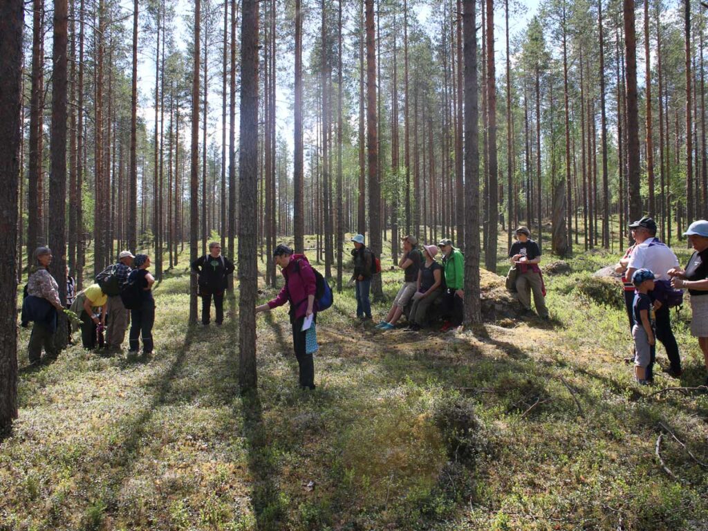 Lieksan Luonnonystävien Luonnonkukkien päivän retki Pienelle Ritojärvelle