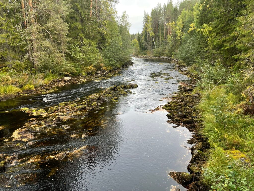 Pälvekoski, Lieksa