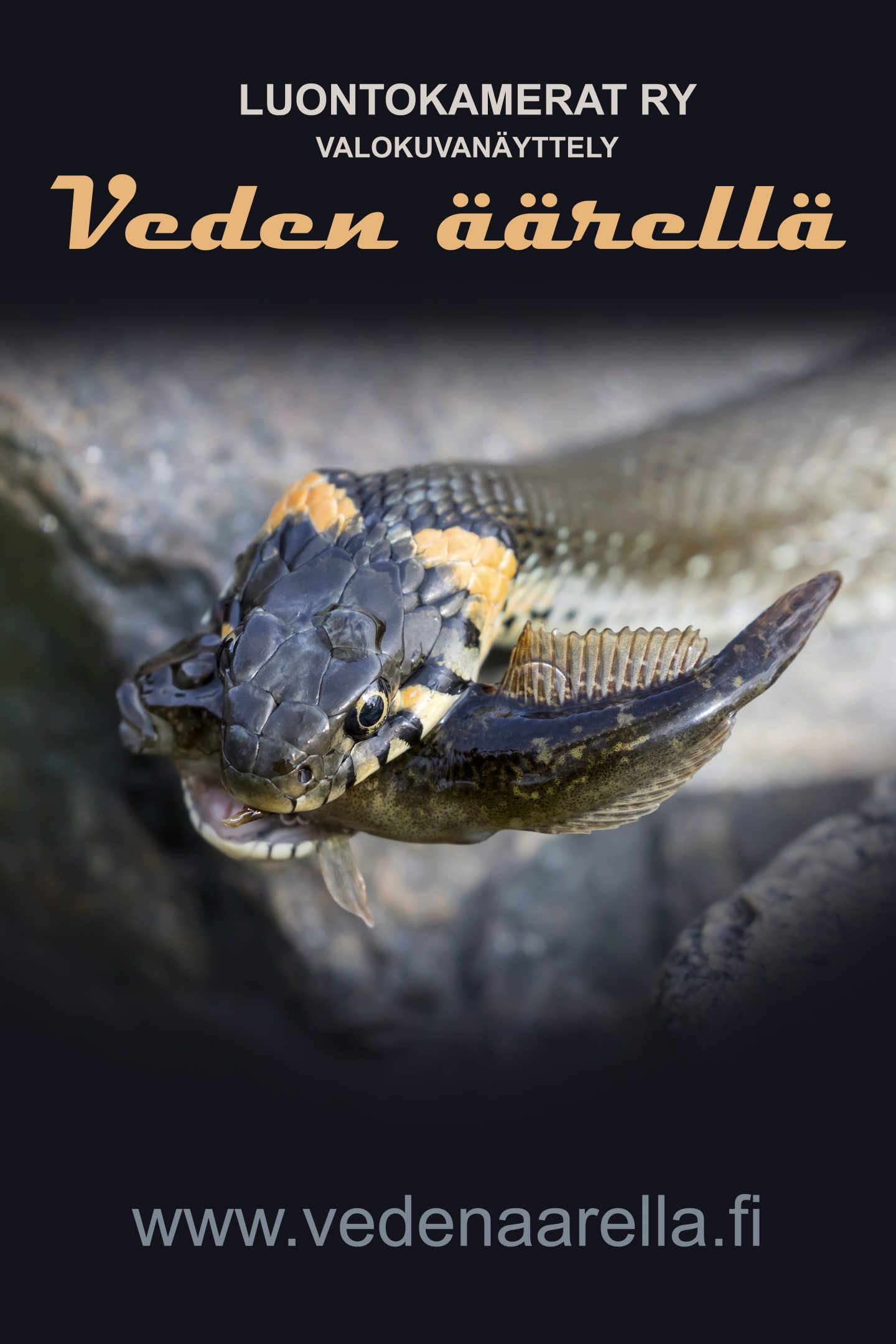 Veden äärellä -näyttelyjuliste