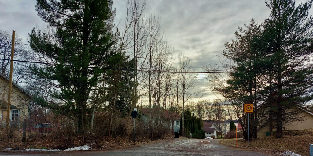 Makedonianmänty Vappulantien ja Tiilenkääntäjäntien risteyksessä.