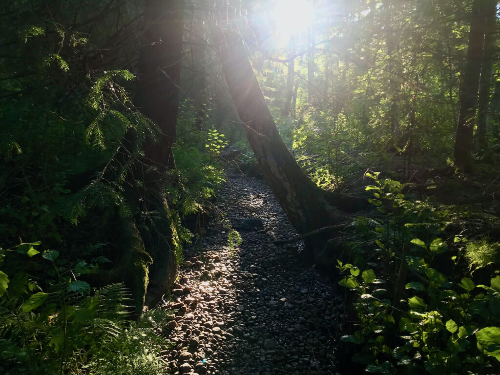 Metsässä on kuiva puro, jonka uoma on soraistettu talkoissa.