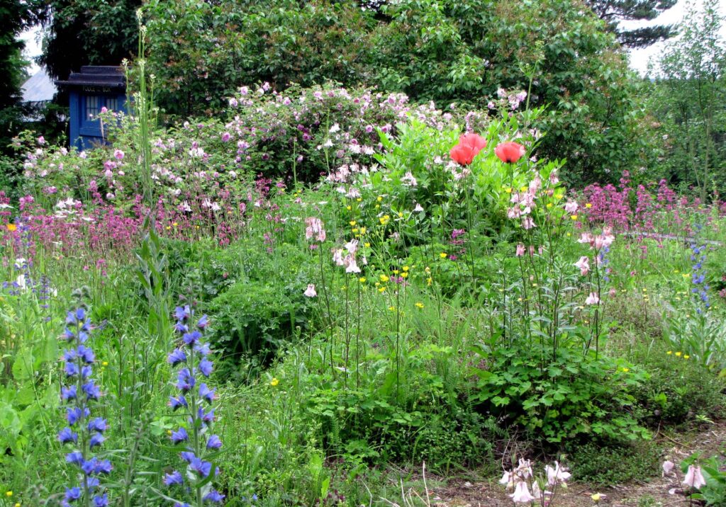 m&ouml;kkipuutarha eli cottage garden