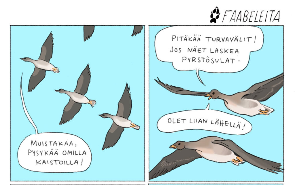 Faabeleita 2/2026