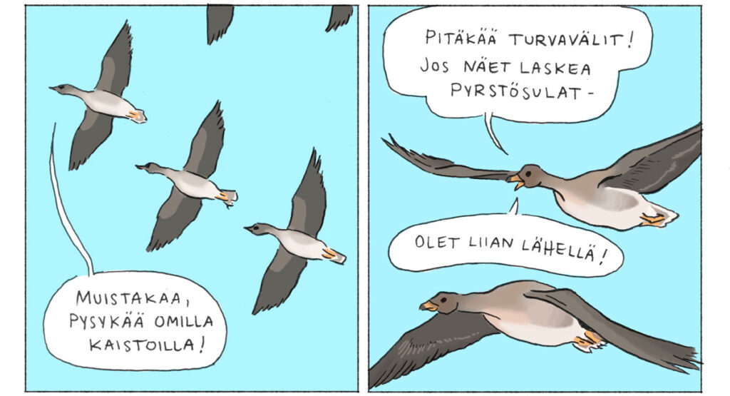 Faabeleita 3/2026