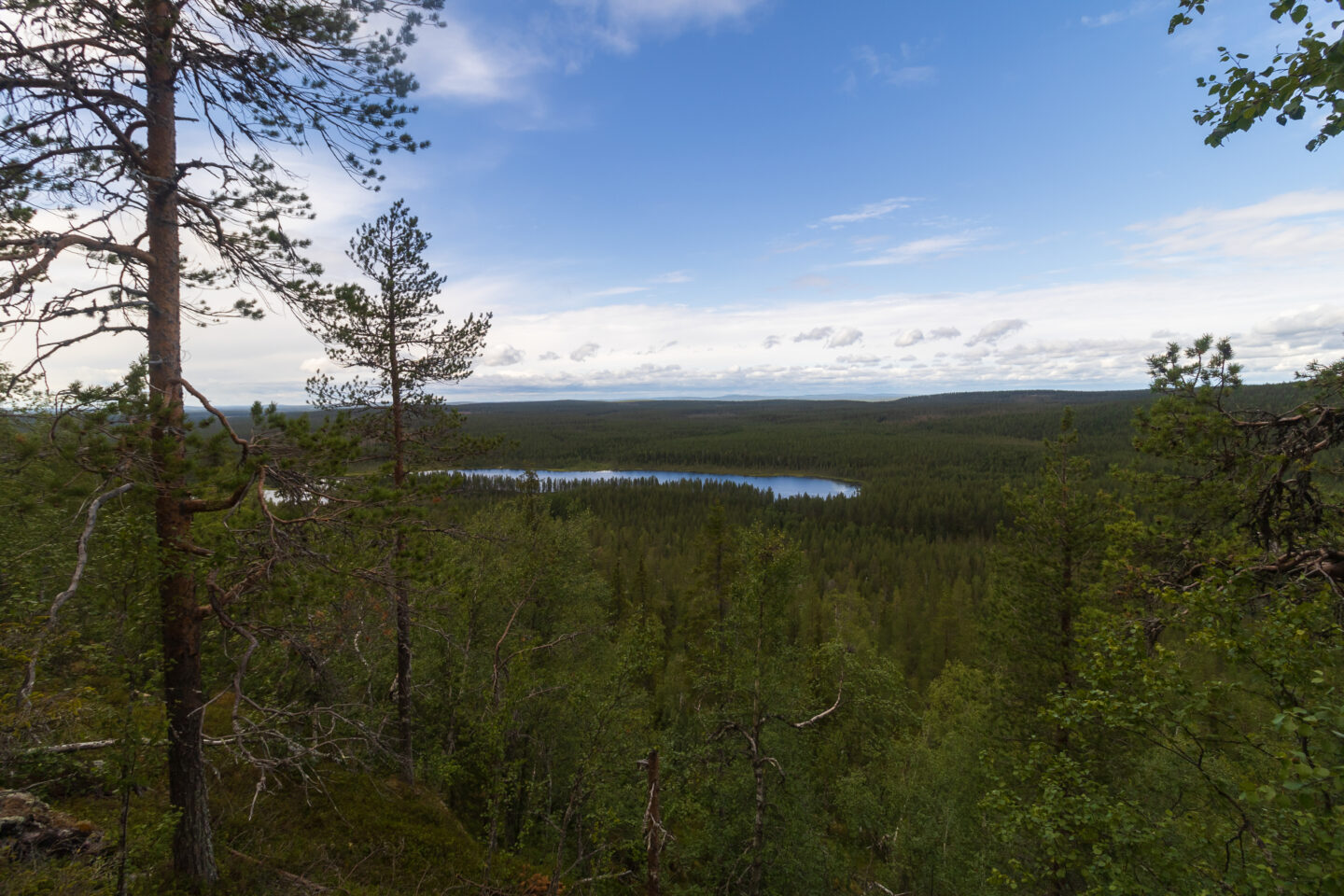 Näläntöjärvi Pikku-Näläntövaarasta kuvattuna