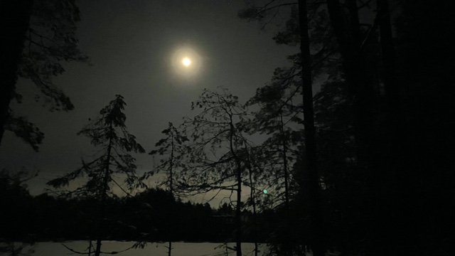 Kuu loistaa öisellä taivaalla