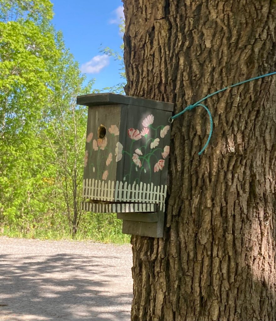 Kaunis, koristeltu linnunpönttö