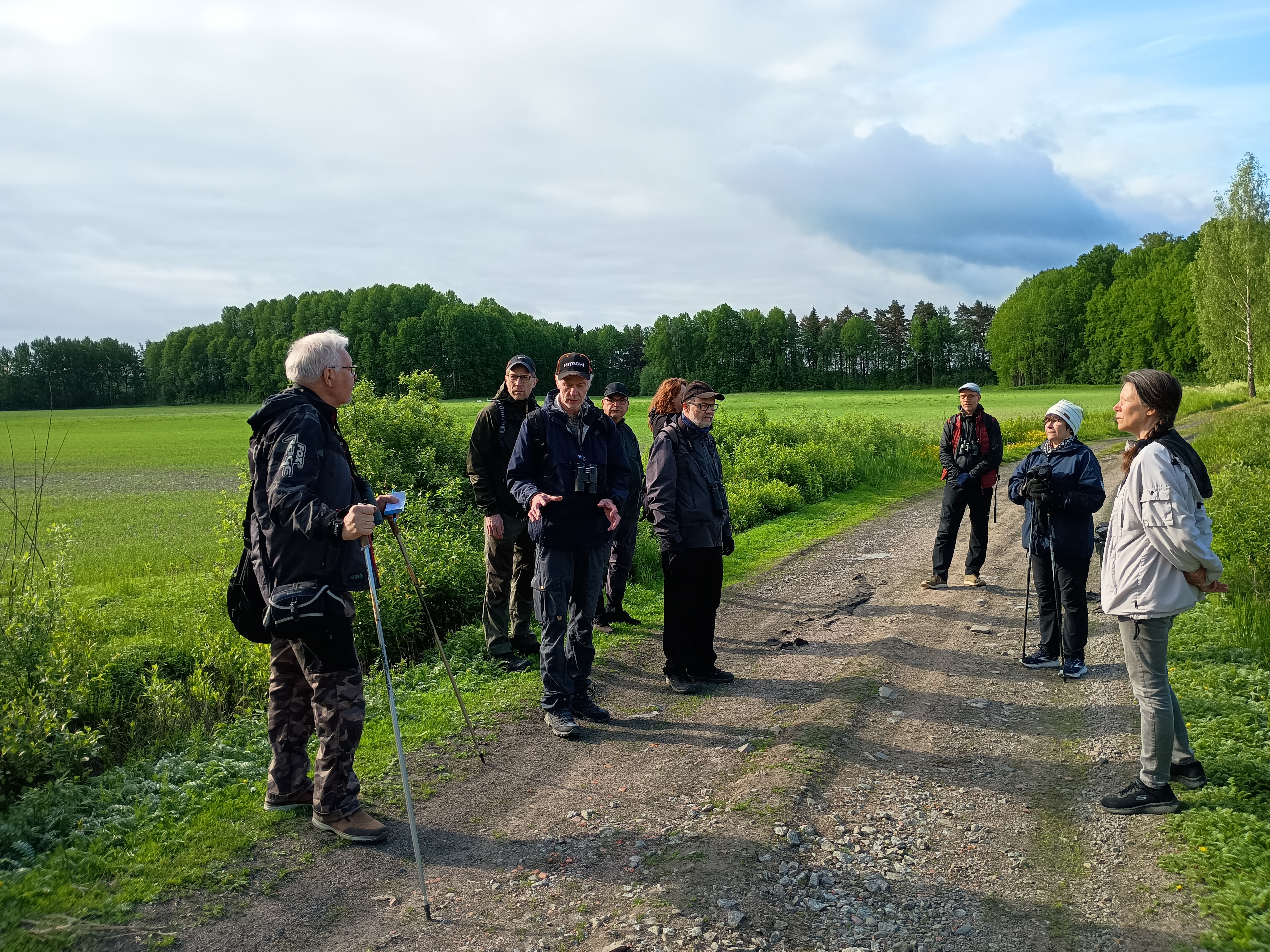 Linturetkeläisiä orastavan pellon laidalla.