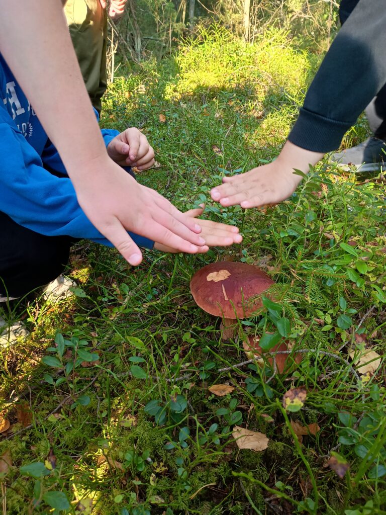 Kaksi lasta ojentaa käsiään suojelevasti suuren ruskean sienen ympärille metsäpohjassa. Sieni kasvaa vihreän sammalen ja kasvien keskellä auringonpilkuttamassa metsässä.