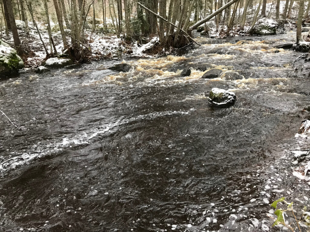 Talvinen maisema koskesta. Vesi virtaa voimakkaasti kivisen kosken läpi, vettä ympäröi lunta ja havumetsää. Vedessä keskellä koskea sammalpeitteinen kivi.