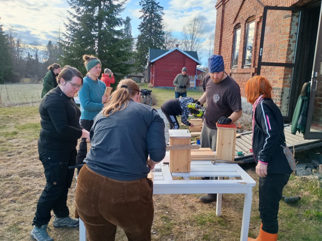 Ryhm&auml; aikuisia rakentaa linnunp&ouml;ntt&ouml;j&auml; ulkona valkoisella p&ouml;yd&auml;ll&auml;. Yksi henkil&ouml; poraa akkuporalla, muut seuraavat ja avustavat. Taustalla n&auml;kyy punainen tiilitalo ja punainen ulkorakennus.