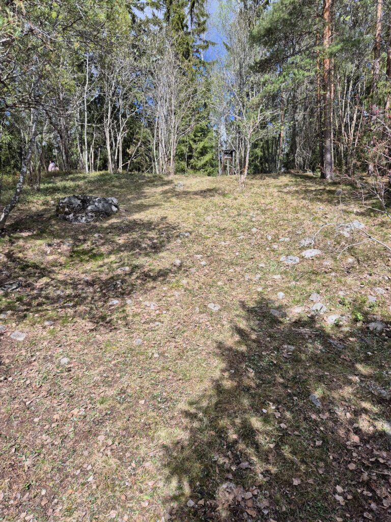 Aurinkoinen metsäinen niittyalue, jossa on hajaantuneita kiviä ja koivuja sekä mäntyjä. Vasemmalla näkyy kiviröykkiö.