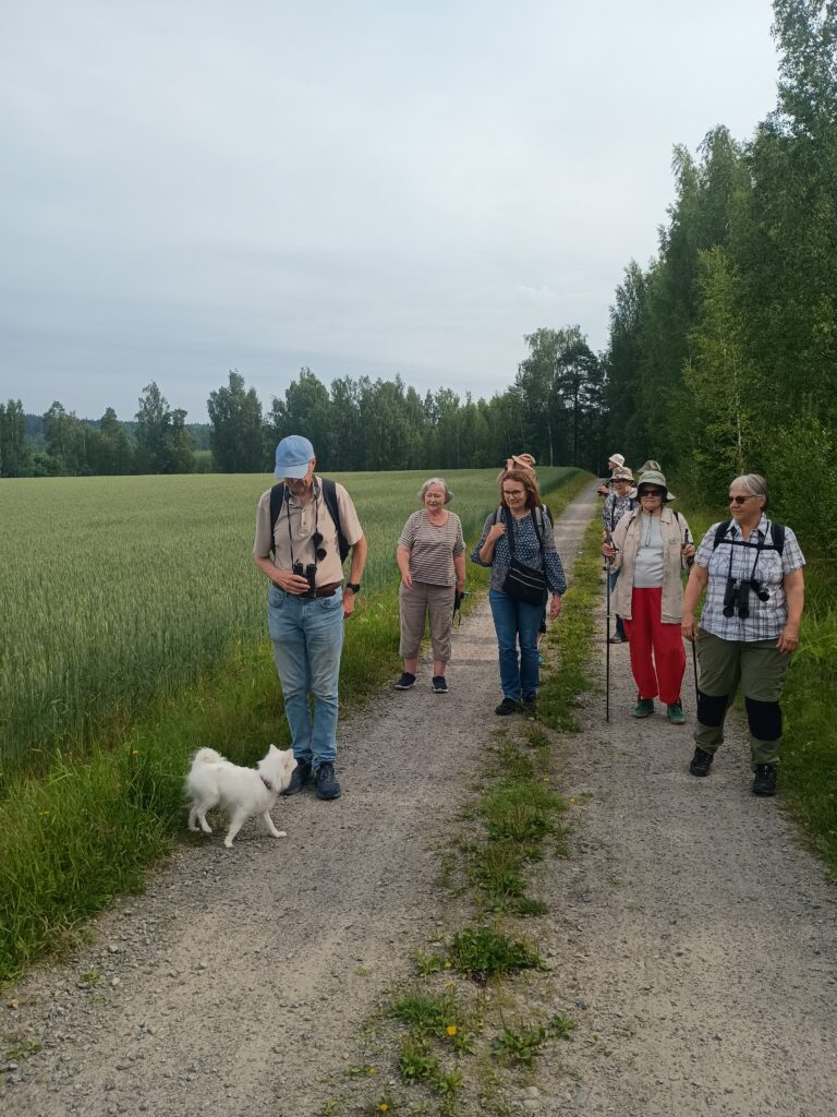 Neljä aikuista naista ja yksi mies kävelevät hiekkapolulla. Edessä mies sinisessä lipalla ja valkoinen pieni koira. Polun molemmin puolin vihreät pellot, taustalla metsä.