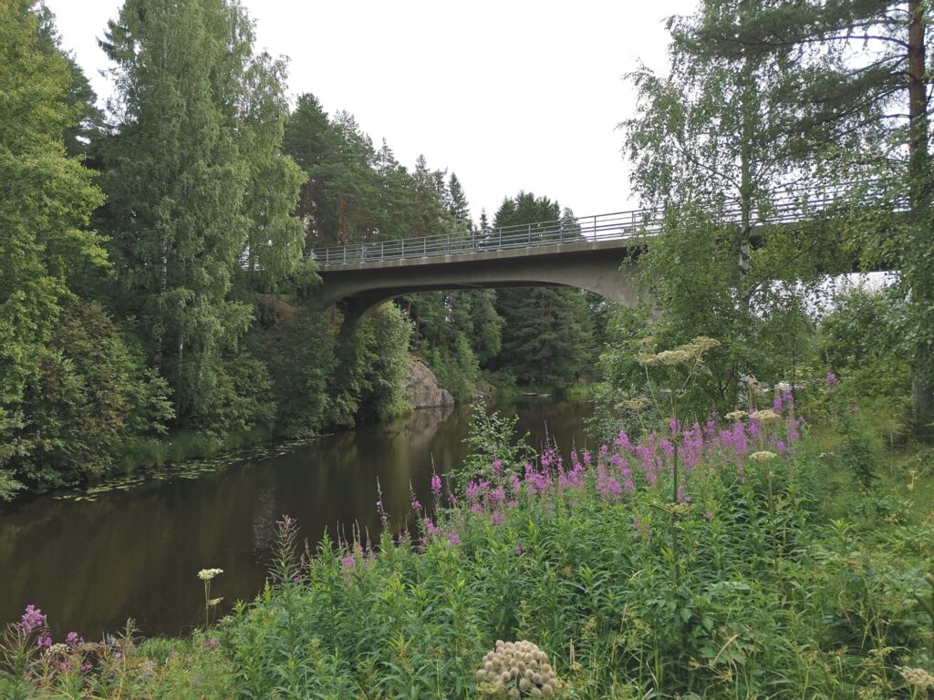 Otamussilta veden yli, edustalla punavihreitä maitohorsmia.