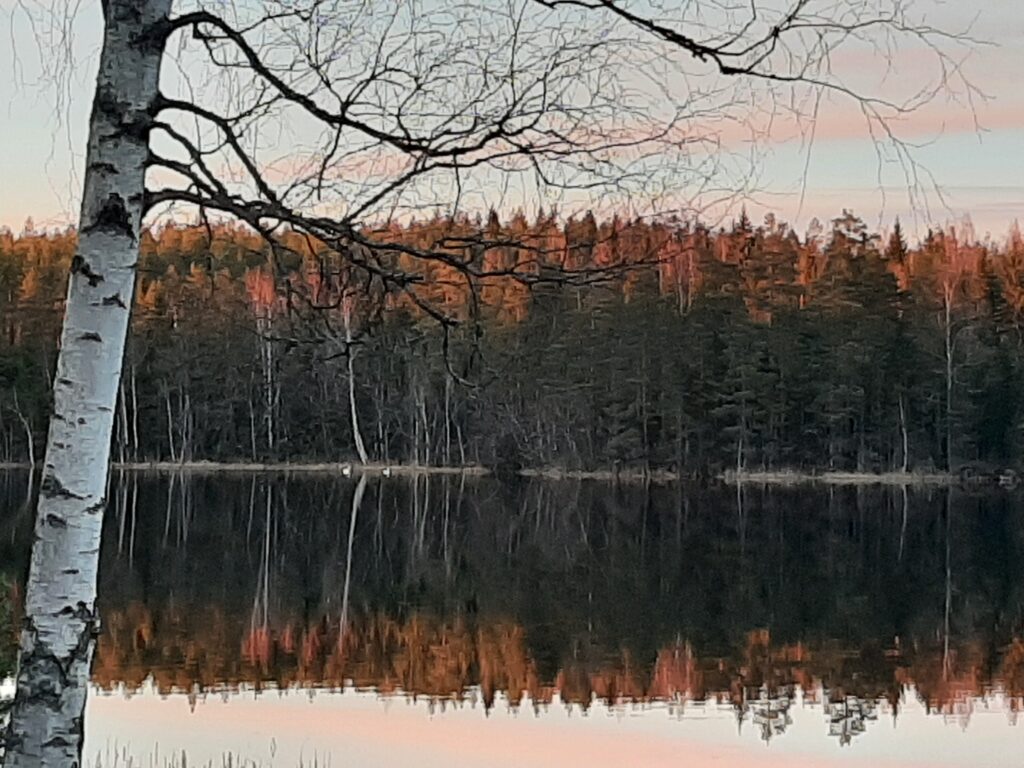 Tyyni Otaj&auml;rvi, johon heijastuu eriv&auml;riset puut ja Otaj&auml;rvenkallion silhuetti. Vasemmalla valkomusta koivu.
