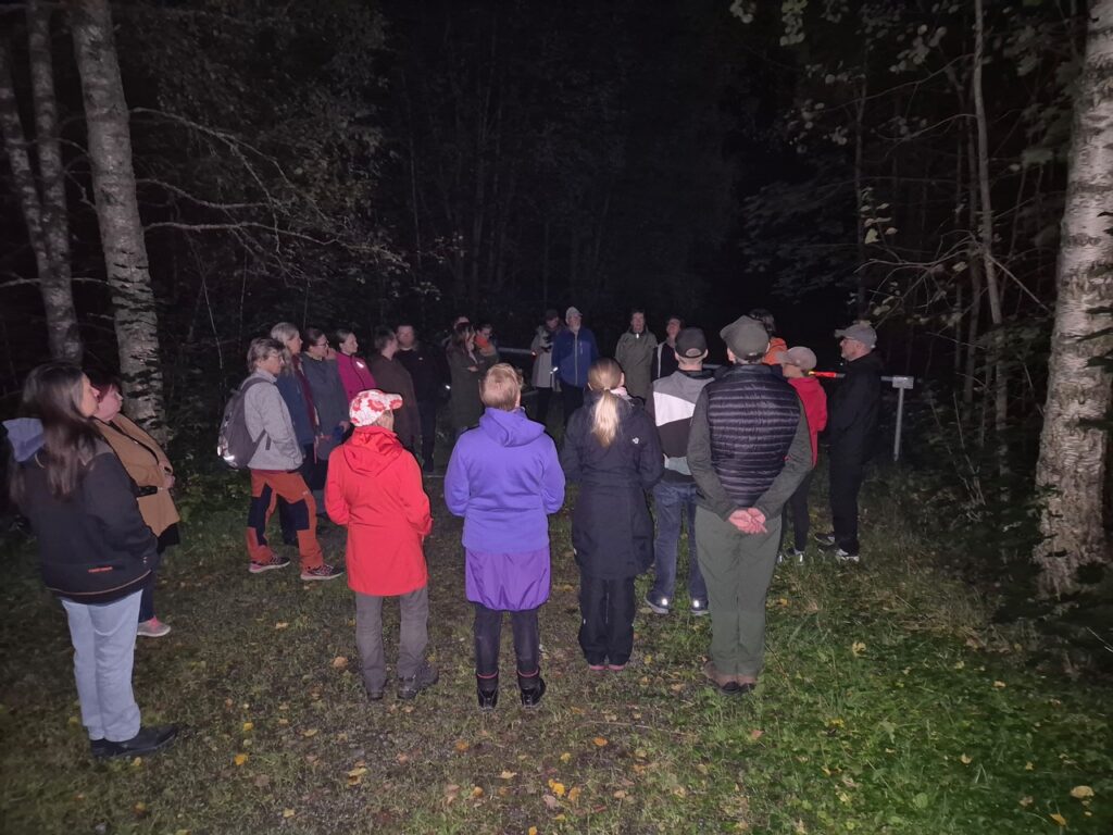 Ryhmä ihmisiä seisoo pimeässä metsässä otsalampuin ja taskulampuin, kuunnellen opastusta lepakkoretkellä
