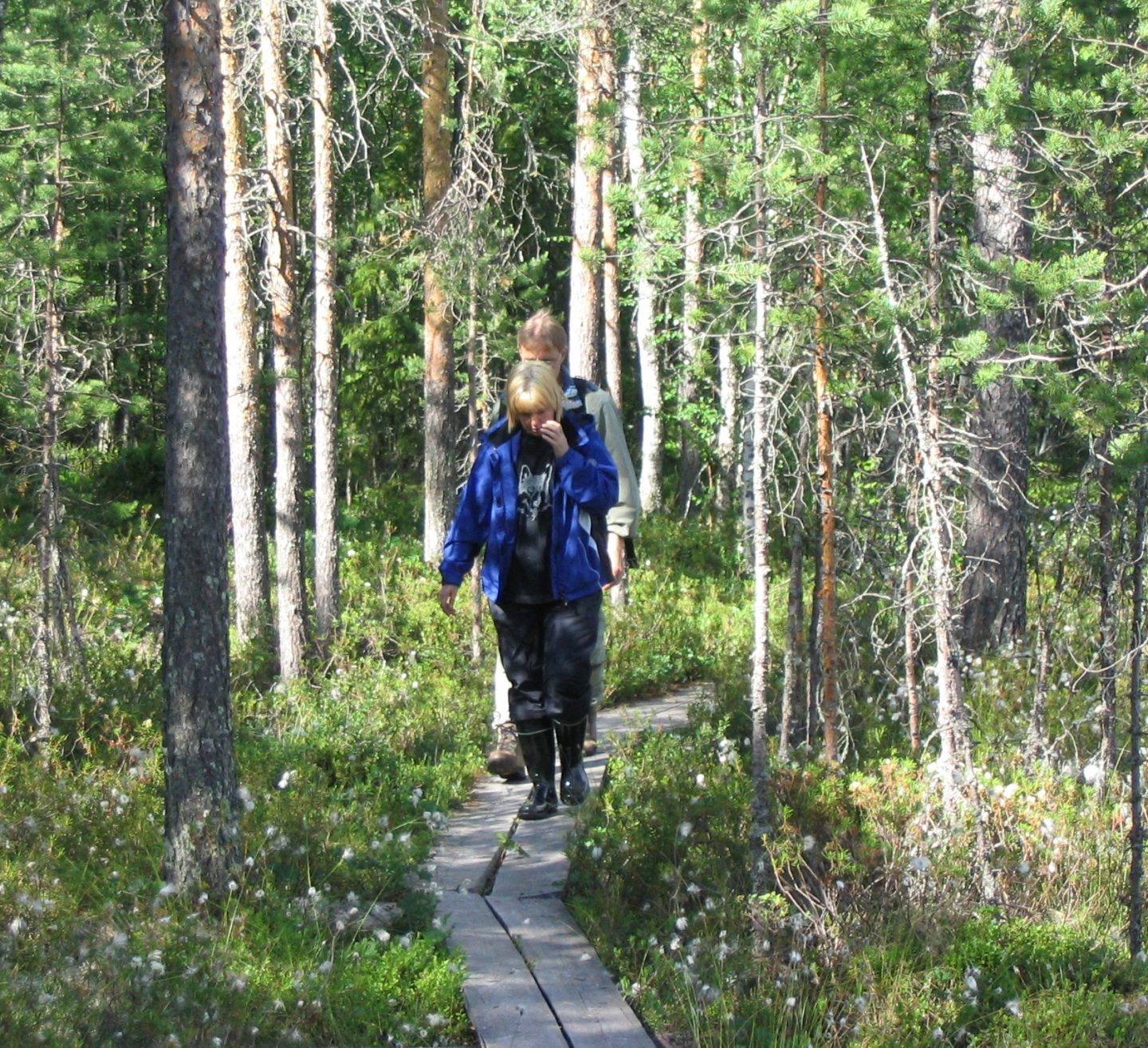 Retkeilijöitä pilpasuolla. Kuva Ilmari Juutilainen.