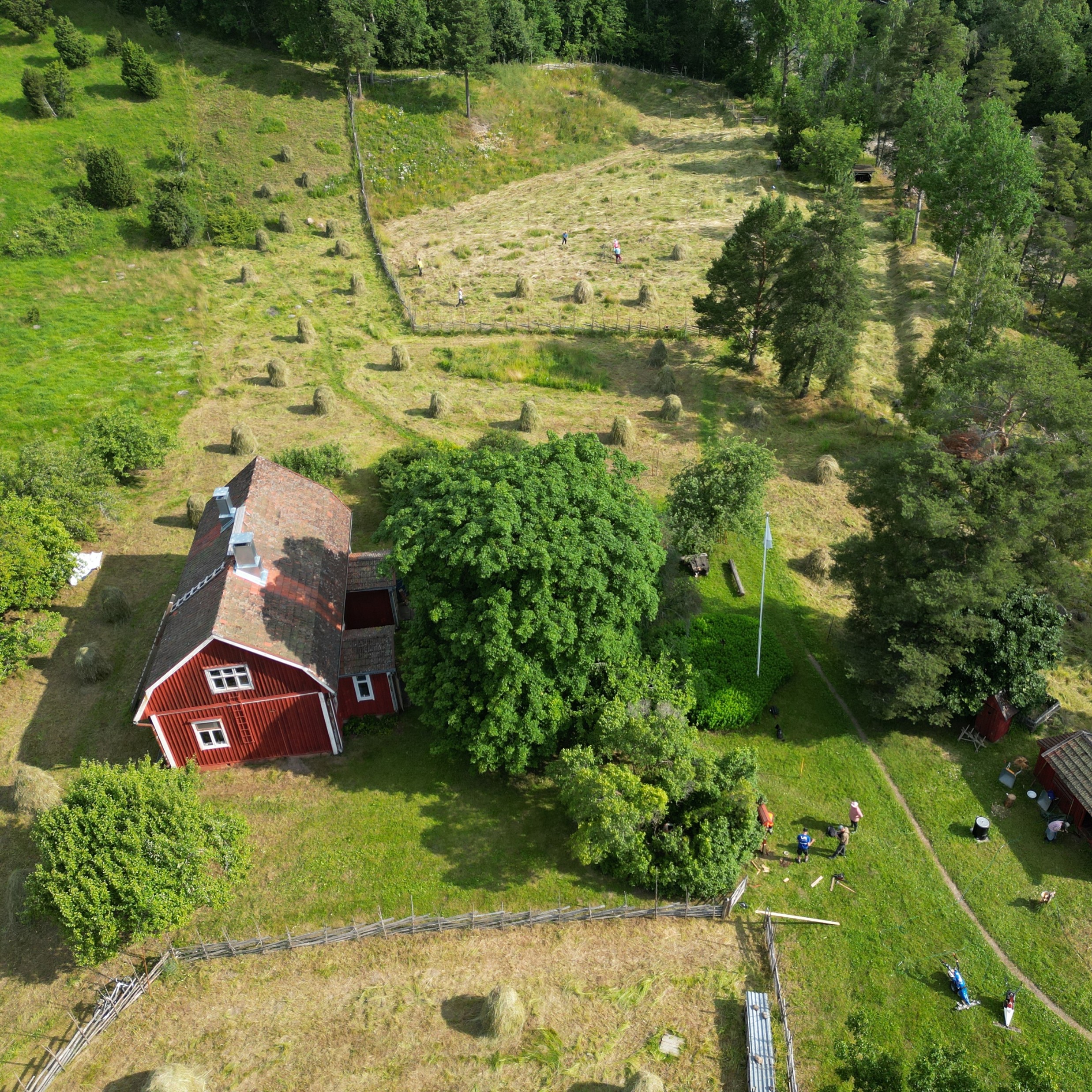 Perinteinen Askalan Ketoleiri - Paimio