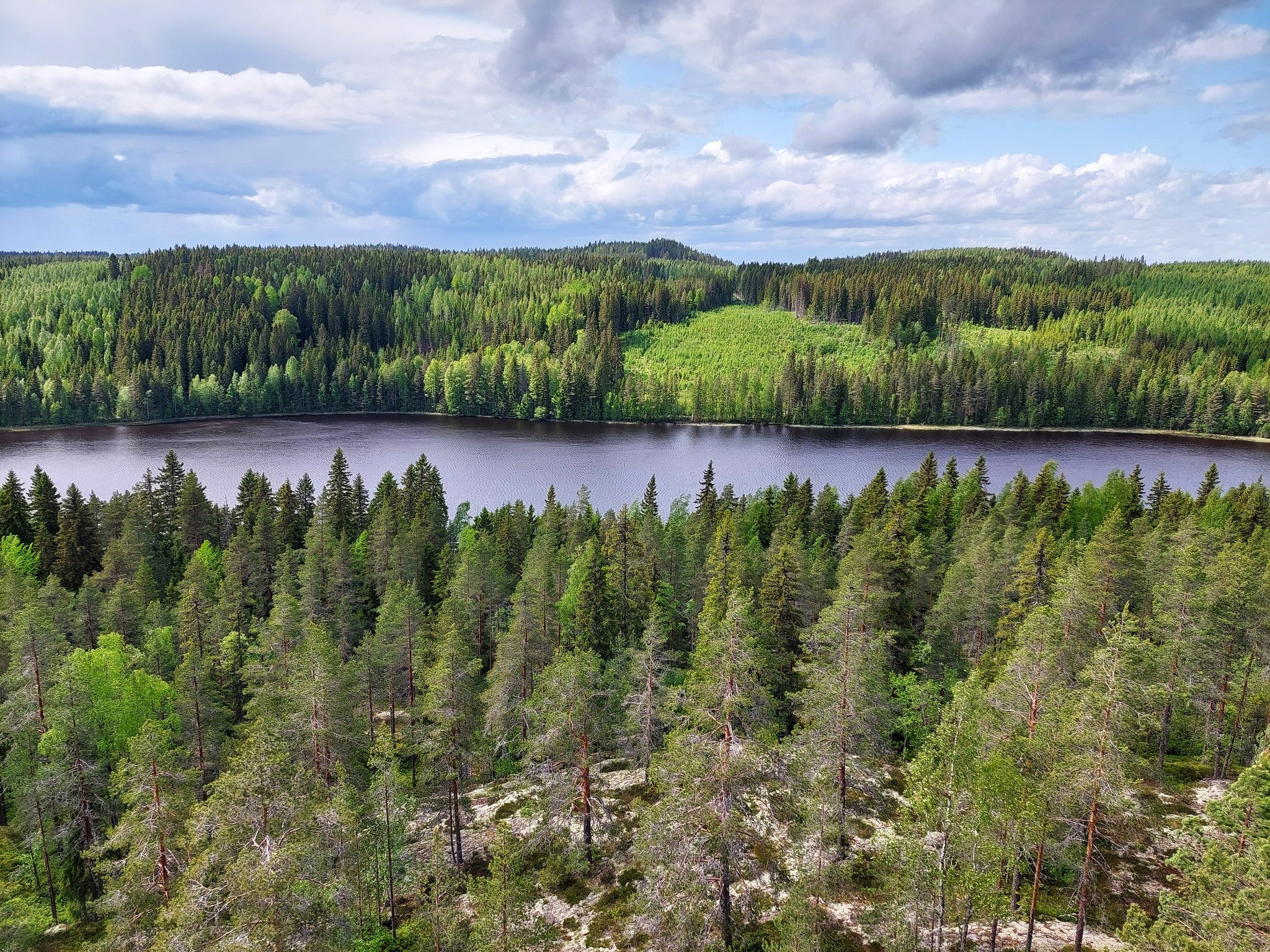 Maisema Häähninmäen näkötornista. Maisemassa näkyy etualalla metsää, sen takana järvi ja sen takana taas metsä- ja peltomaisemaa. Taivas on sininen ja siinä leijailee poutapilviä.