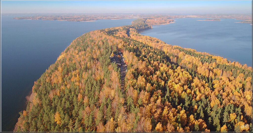 Kuva: Vehoniemenharju Kuvaaja: Risto Ylitie / Luonnonsuojeluliitto