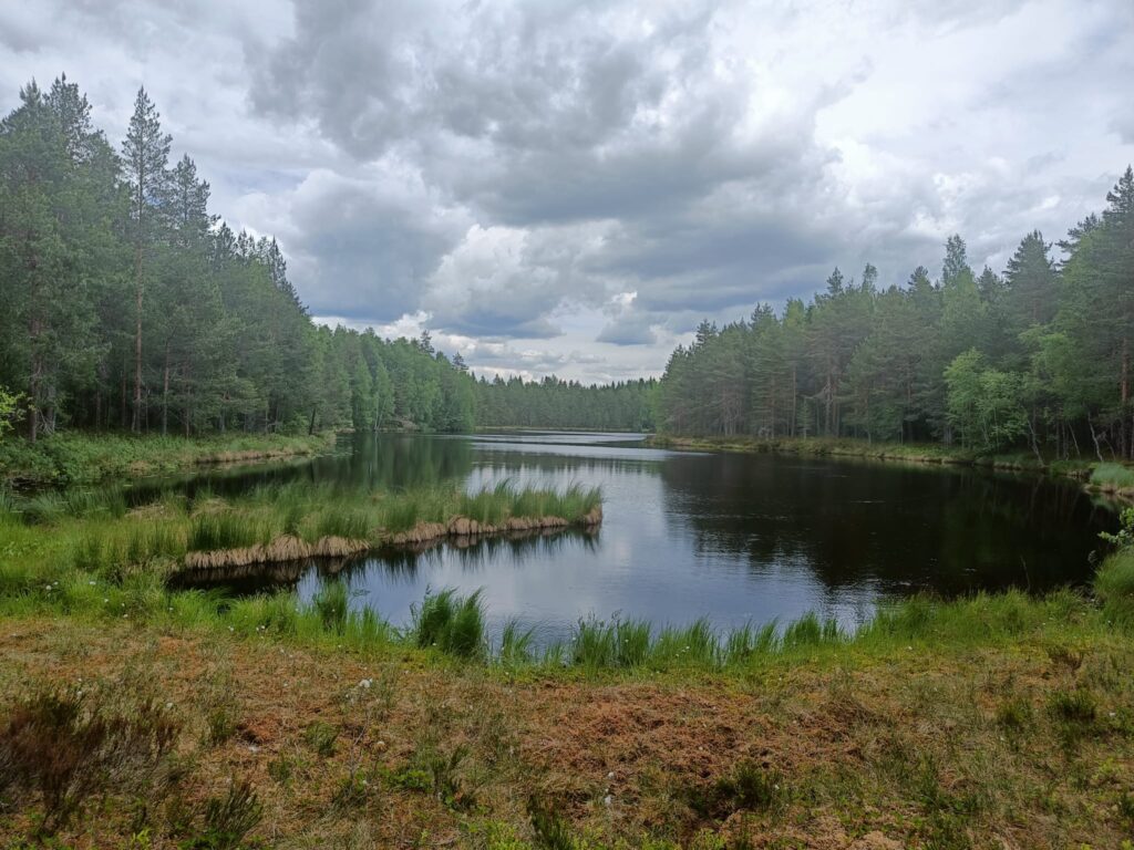 Kuvassa järvi, jonka ympärillä suota ja metsää.