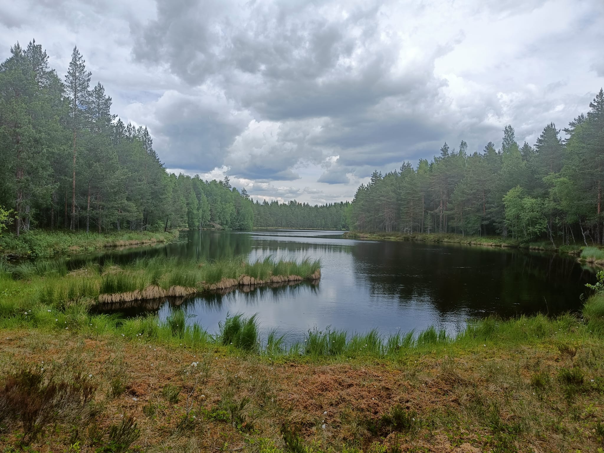 Kuvassa järvi, jonka ympärillä suota ja metsää.