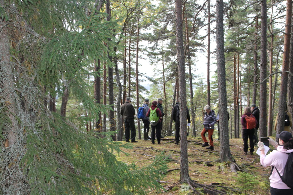 Yhdeksän henkilöä seisoo kalliokumpareella mäntyjen ympäröimänä.