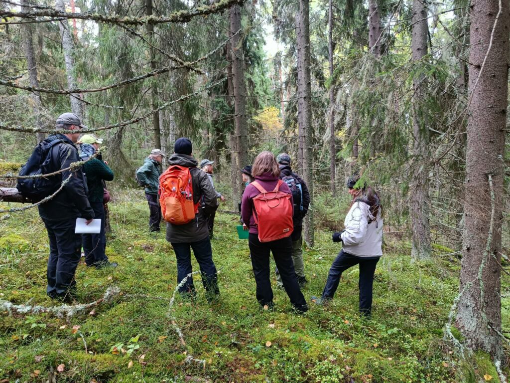 Kuvassa retkeilijöitä metsässä.