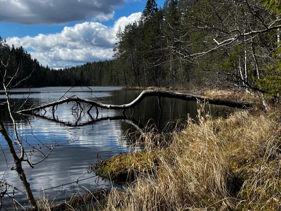 Pirkkalan erämainen Kaitajärvi.