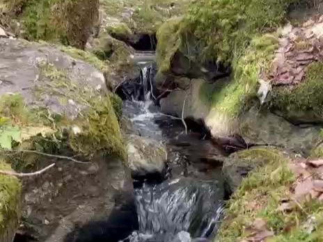 Saunapuro solisee kivien välissä.