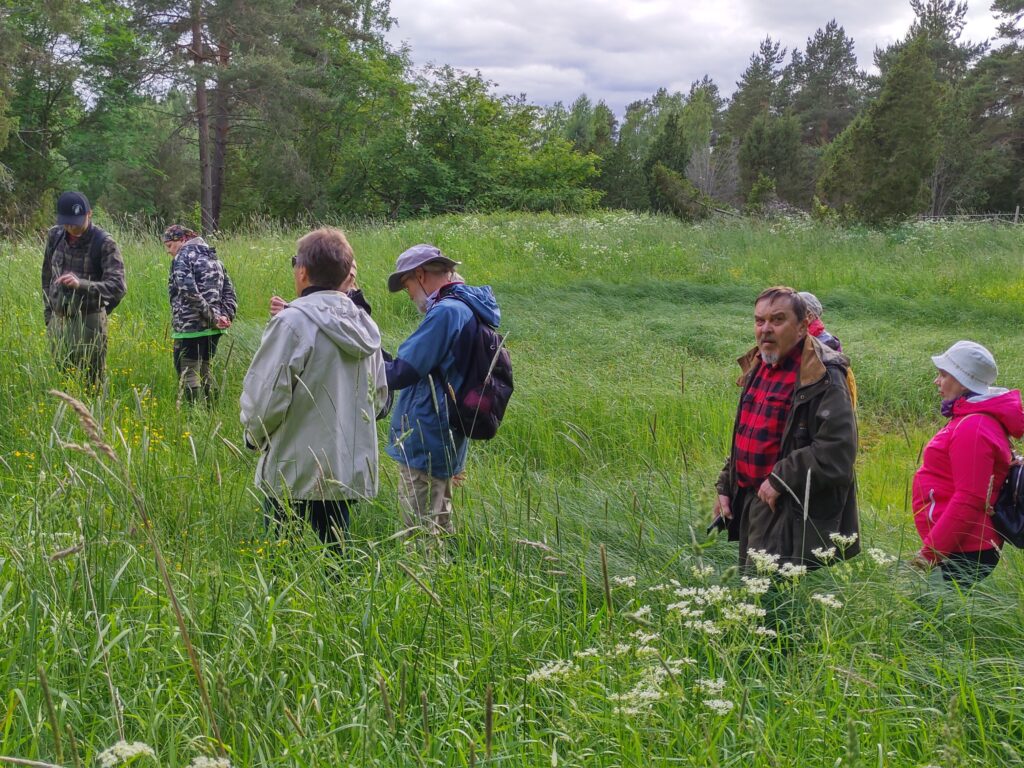 Retkeläisiä kostealla niityllä.
