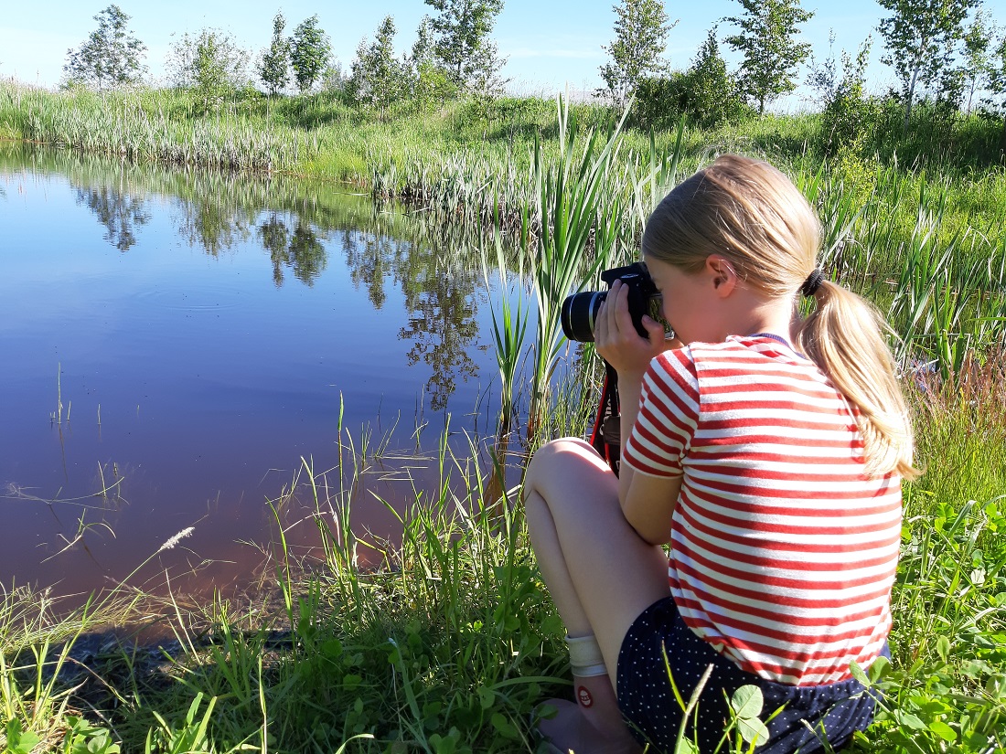 Lappajärven valokuvakisa 2019