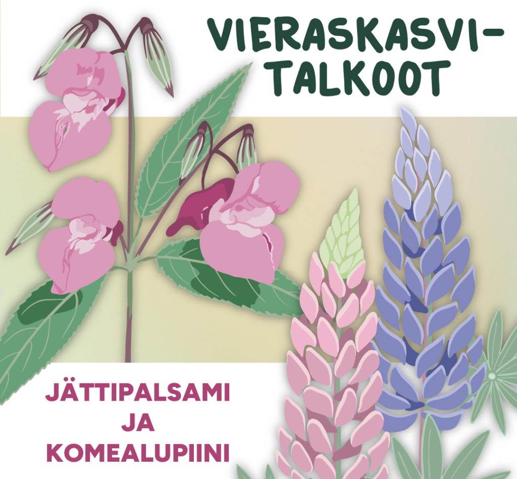 vieraskasvitalkoiden tapahtumakuva