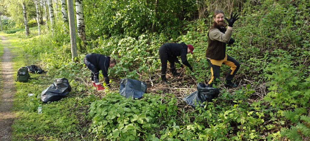 Kuvassa torjumme jättipalsamia Pattijoen varressa.