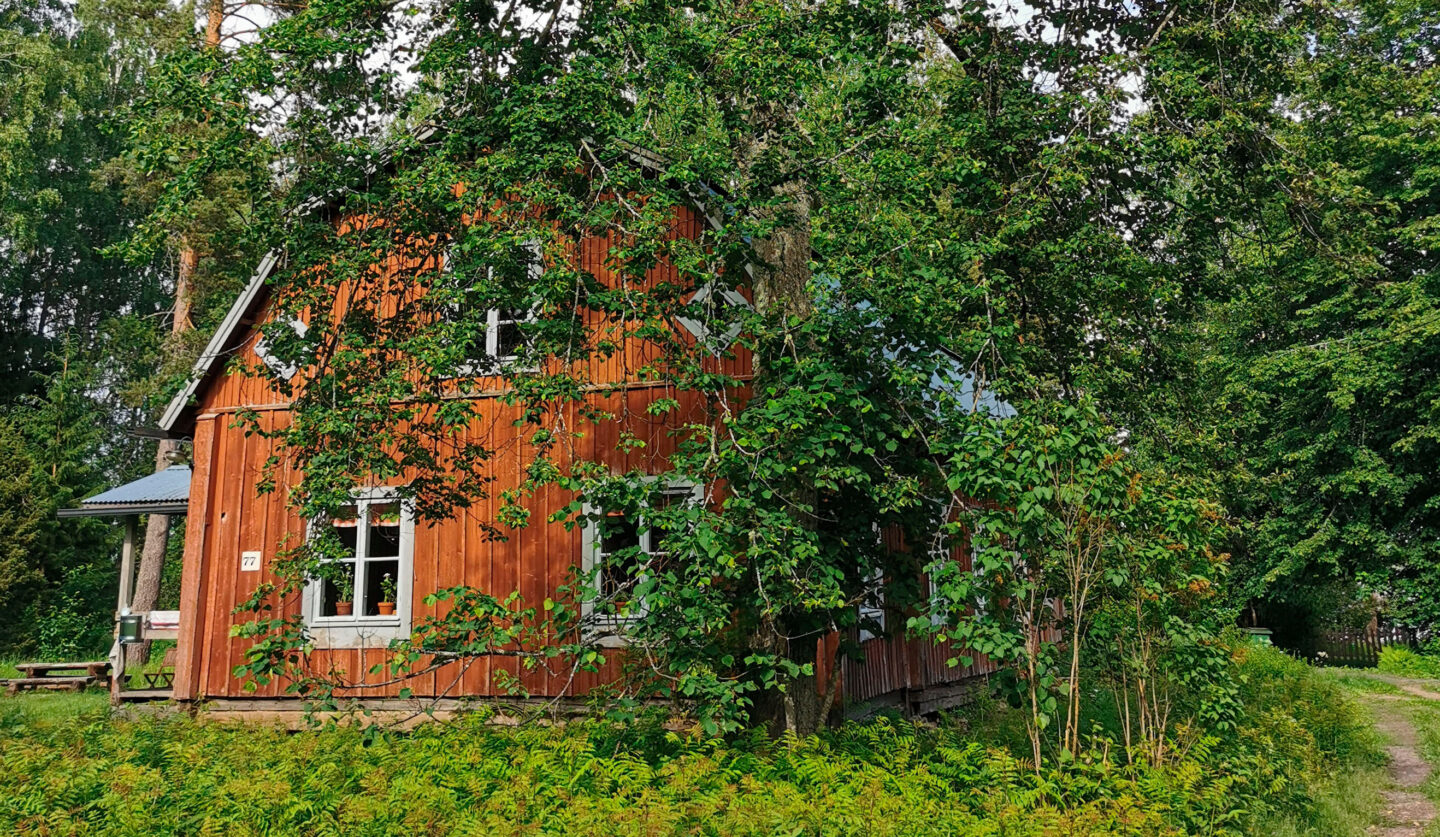 Syrjä