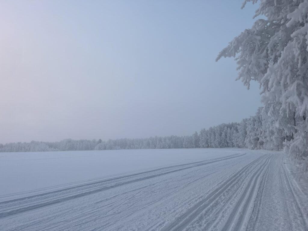 sumuinen pakkaspäivä järvellä