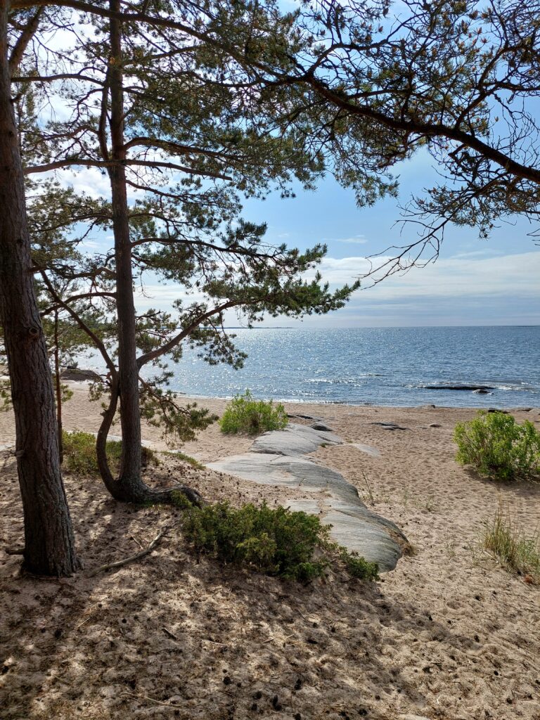 Fäboda. Kuva T. Hakala